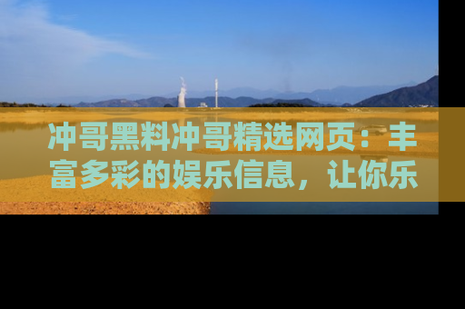 冲哥黑料冲哥精选网页：丰富多彩的娱乐信息，让你乐不停息