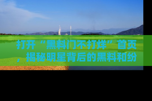 打开“黑料门不打烊”首页，揭秘明星背后的黑料和纷争真相！