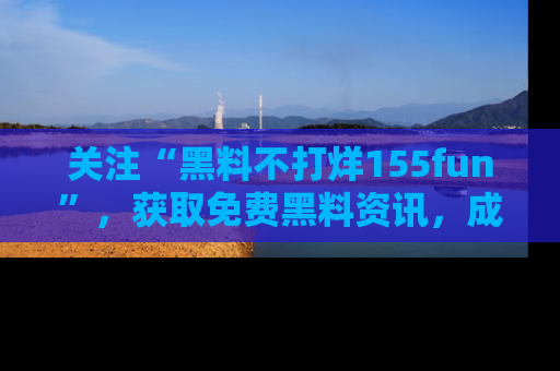 关注“黑料不打烊155fun”，获取免费黑料资讯，成为吃瓜达人不再难！