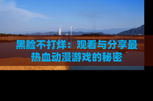 黑脸不打烊：观看与分享最热血动漫游戏的秘密