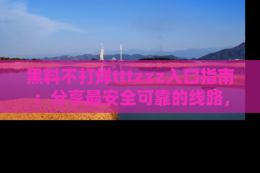 黑料不打烊tttzzz入口指南：分享最安全可靠的线路，轻松获取最新八卦！