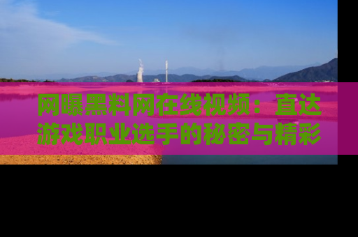 网曝黑料网在线视频：直达游戏职业选手的秘密与精彩动漫片段！