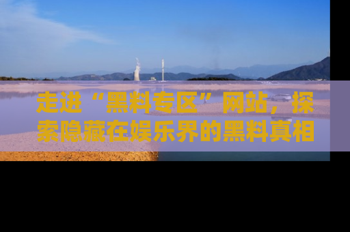 走进“黑料专区”网站,探索隐藏在娱乐界的黑料真相